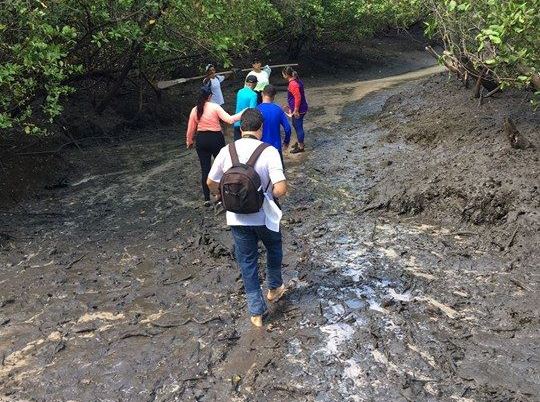 O passeio começa pela trilha de lama do mangue na Palateia